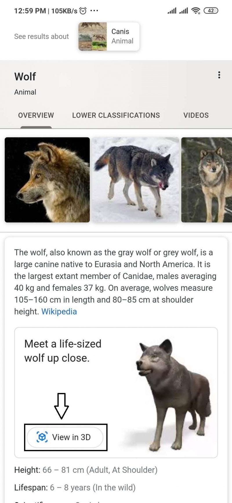 Google AR Put Virtual Animals In Your Real World! by SEO Intellects