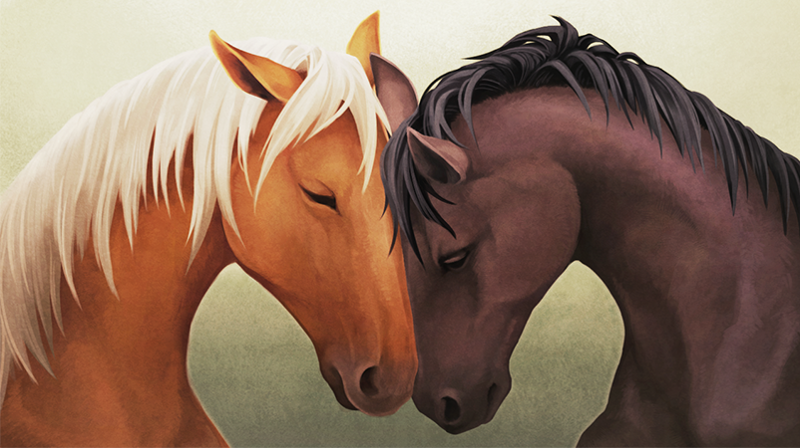 new generation horse