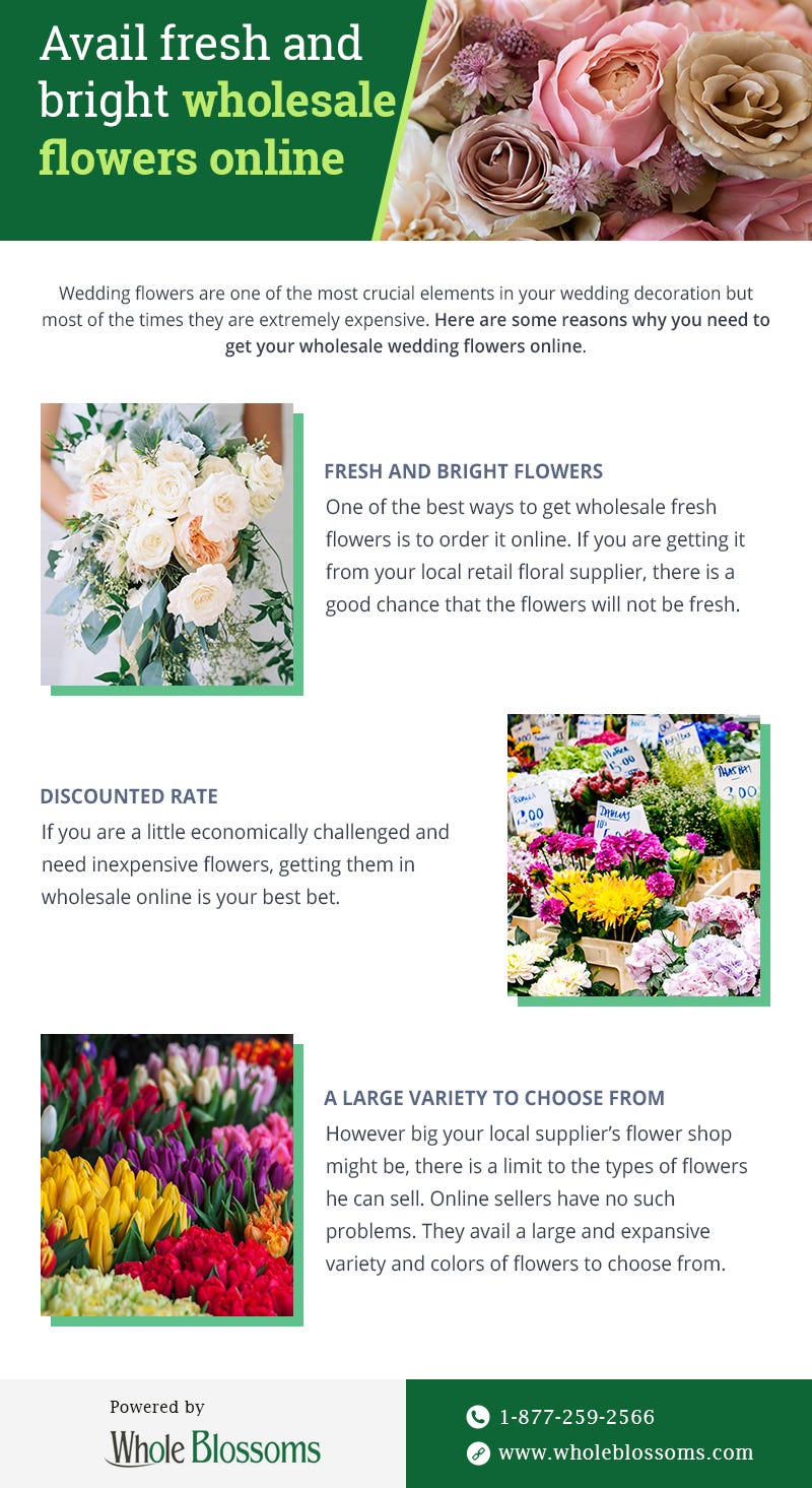 Buy Wholesale Flowers Online But With Care Whole Blossoms Medium
