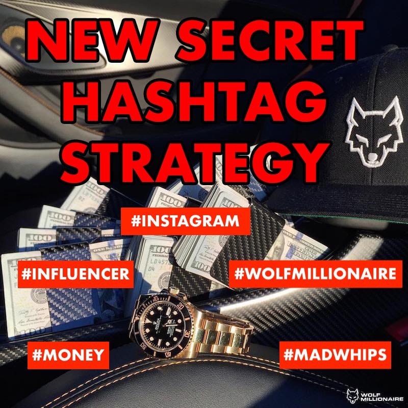 New Instagram Stories Hashtag Secrets - Wolf Millionaire - Medium