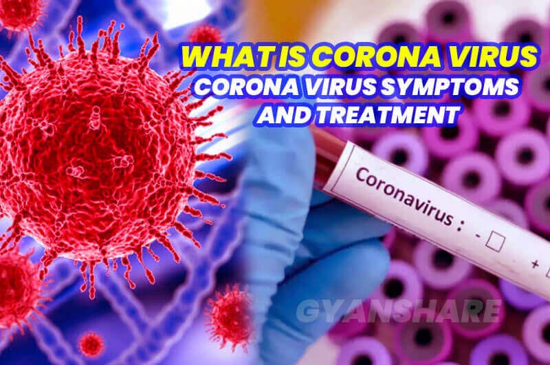 What Is A Coronavirus? - Sciencealert