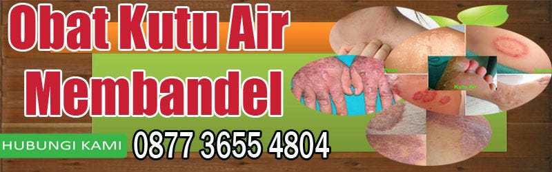 Cara Mengobati Kutu Air Cara Mengobati Kutu Air Dengan Pasta Gigi | by Obat Alami | Medium