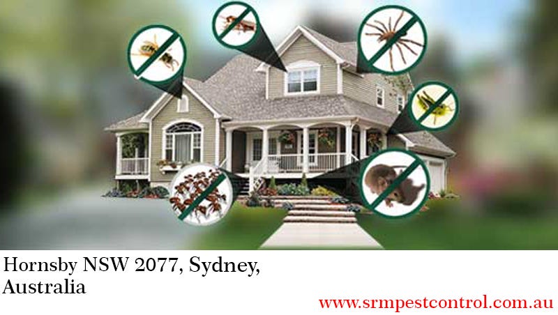 Why Does Affordable Pest Control Succeed By Srm Pest Control Medium