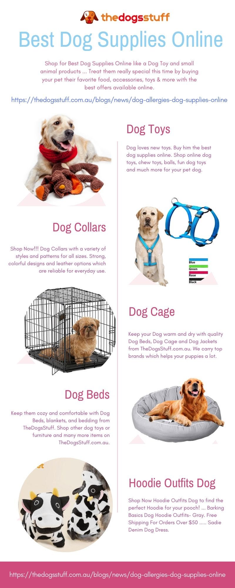 buy dog accessories online