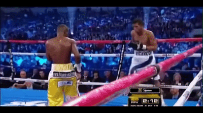 photo Lomachenko Gif vasyl lomachenko vs guillermo