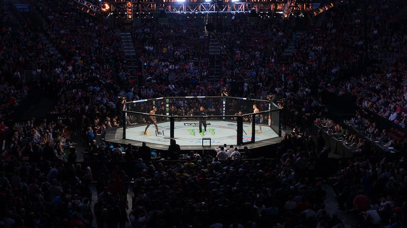 Toughest Ufc Divisions Top 10 Martial Arts Unleashed