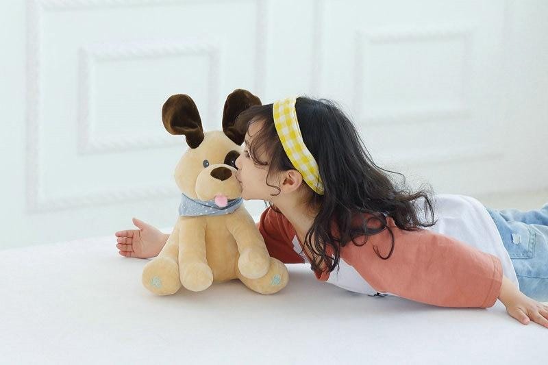 peekaboo puppy toy