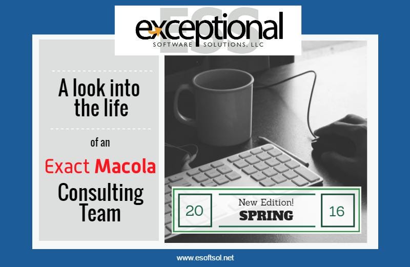 A Look into the Life of an Exact Macola ERP Consulting Team — Spring 2016