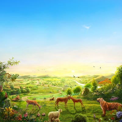 New Heavens New Earth