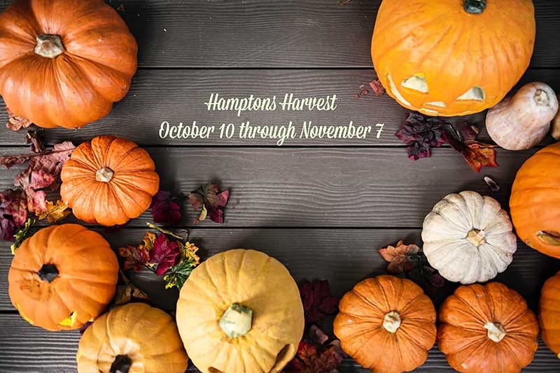 HAMPTONS HARVEST & ARF STROLL TO THE SEA Sponsored by The Baker House