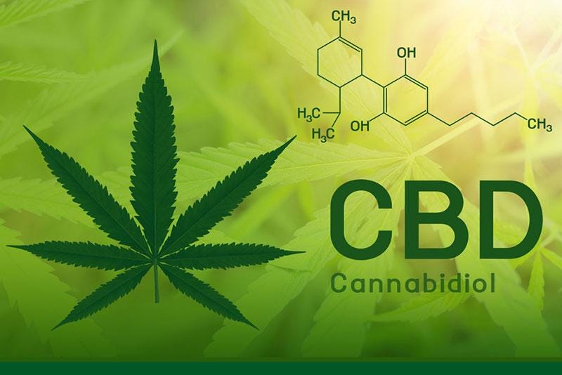 Cbd Hemp Seed And Its Natural Fat Burning Effects Daniel Cbd Hemp Seed And Its Natural Fat Burning Effects Daniel