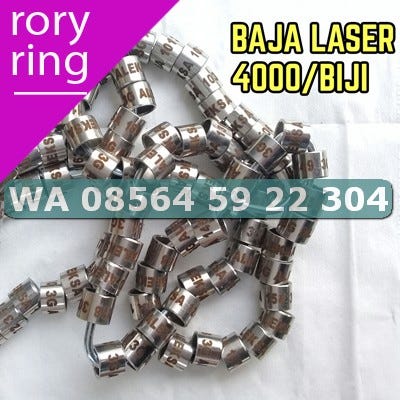 Paling Murah Wa 08564 59 22 304 Jual Ring Merpati Jogja