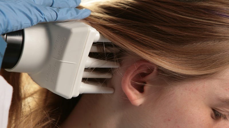 6 Key Steps To Kill And Get Rid Of Head Lice Benicio Robert Medium