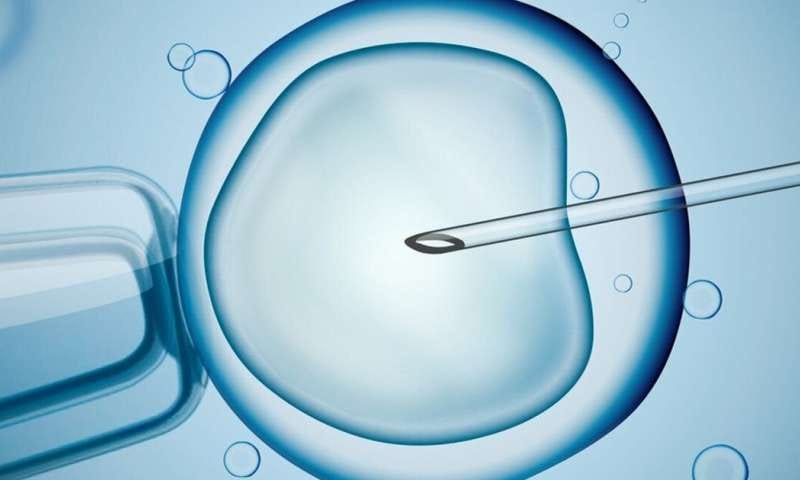 ivf malaysia

