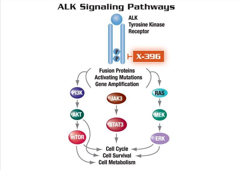 Targeted Therapy Treatment Options In Alk Rearranged Non Small Cell Lung Cancers Which Are Refractory To Crizotinib By Clinical Trials 2015 Medium