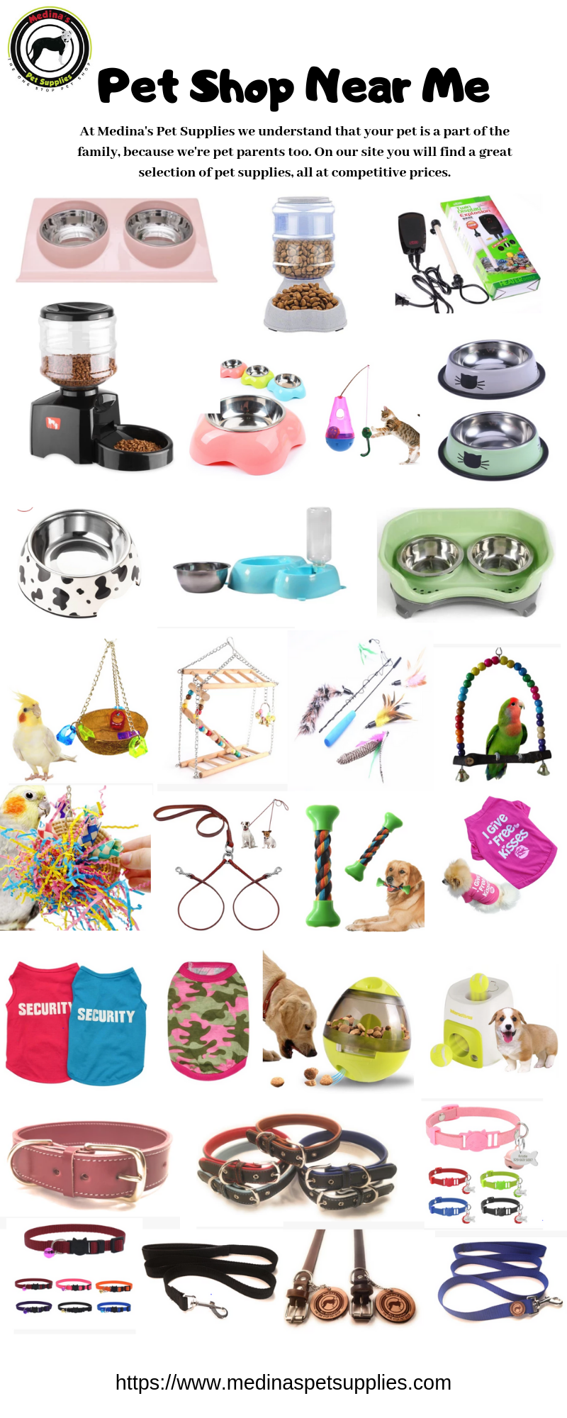 pet accessories shop