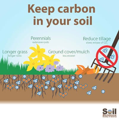 CARBON SEQUESTRATION IN THE SOIL BY USING BIOCHAR | by Izhar Khalil ...