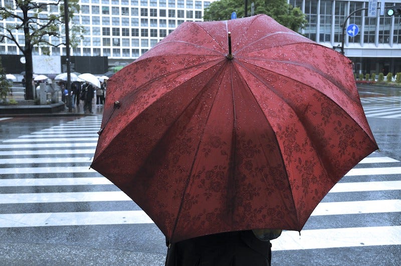 best rain umbrella 2018