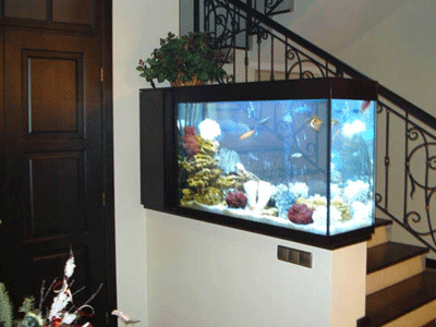 feng shui fish tank