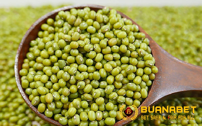 8 Manfaat Pakan Kacang Hijau Untuk Ayam Aduan Stefanny