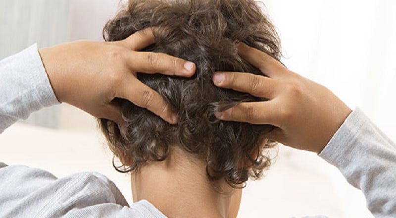 What You Should Know About Head Lice And Their Treatment