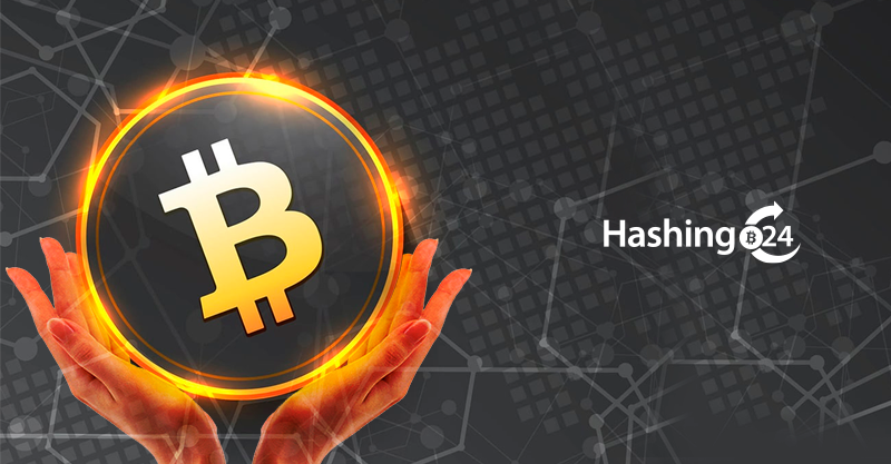 24 7 365 Support Team Our Frontline Customer Support By Hashing24 Medium