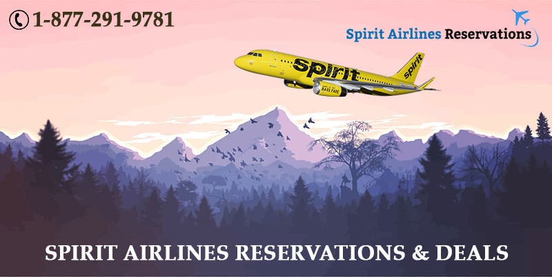 Spirit airlines deals