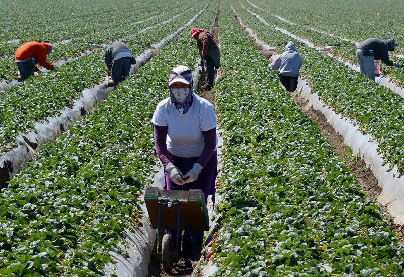 OxnardMigrant Mecca. Longtime farming community shifting to… by Nick
