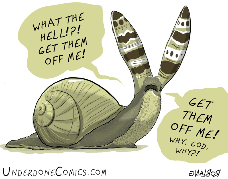 My Favorite Life Cycles Green Banded Broodsac By Rob Lang Medium