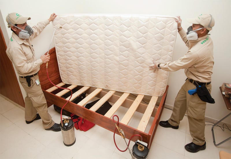Syracuse Bed Bug Treatment