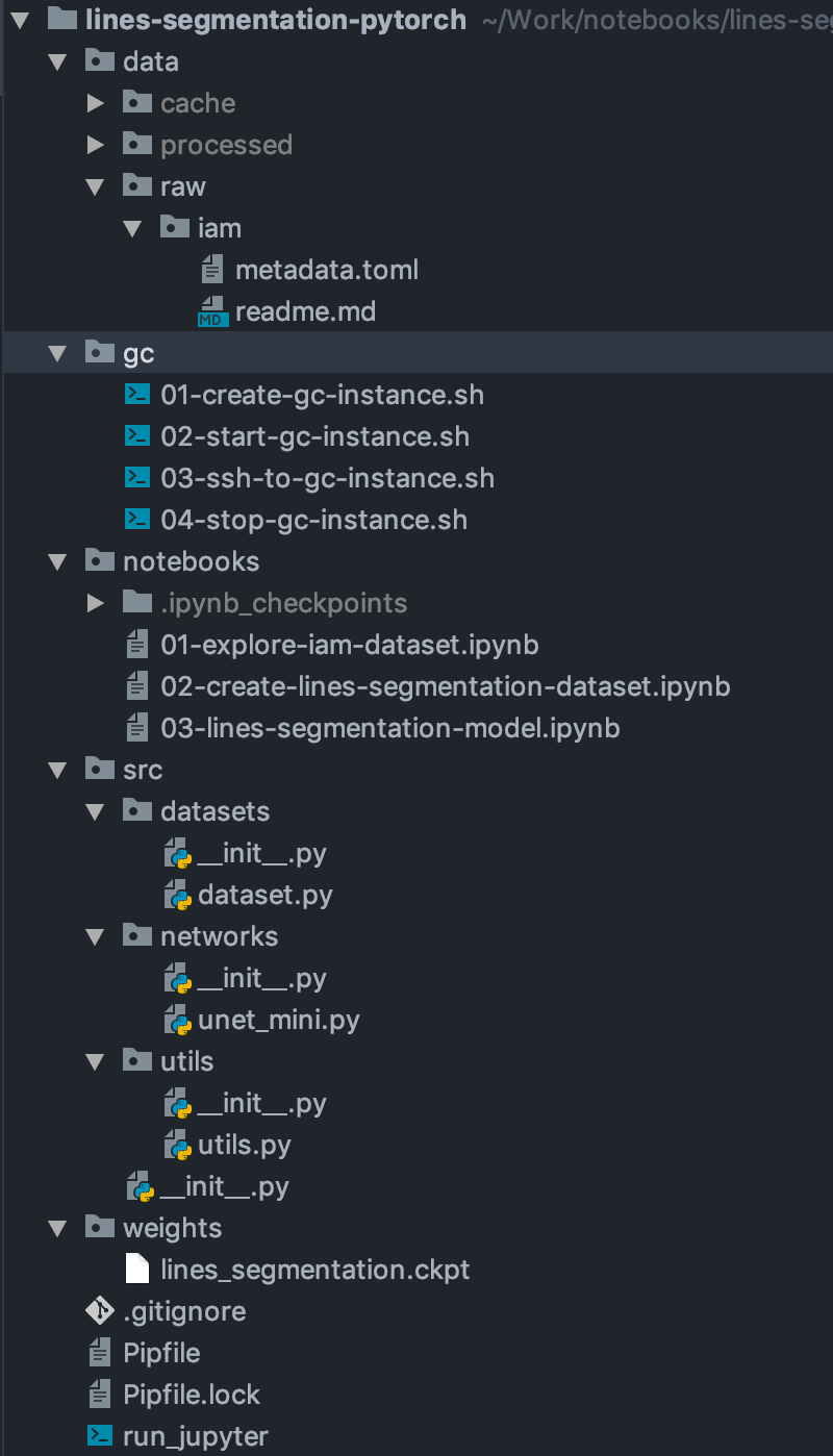 google cloud gpu pytorch