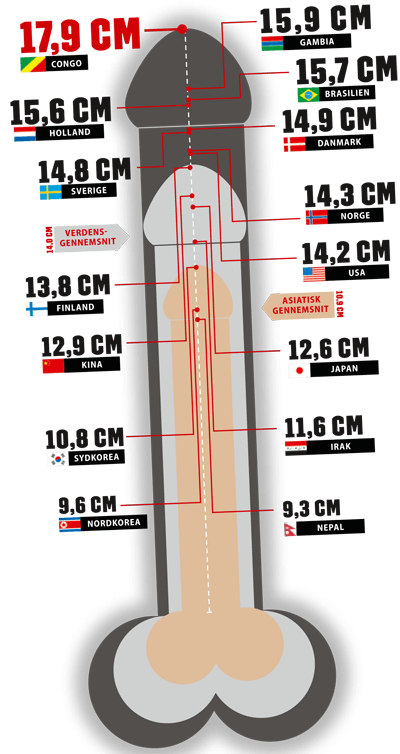 Penis 12cm 20 Types