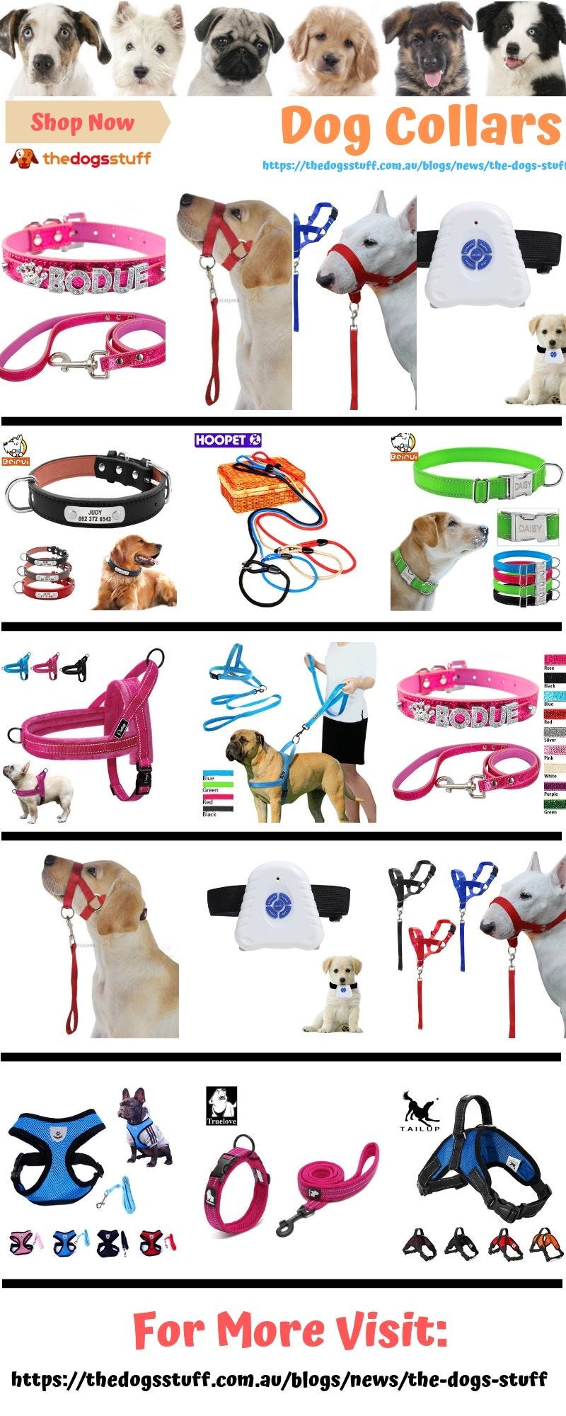 Dog collars. Check out our Dog collars & leashes… by The Dogs Stuff