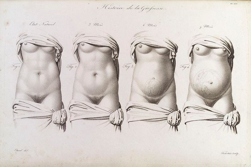 Беременность Полных Женщин Фото Живота