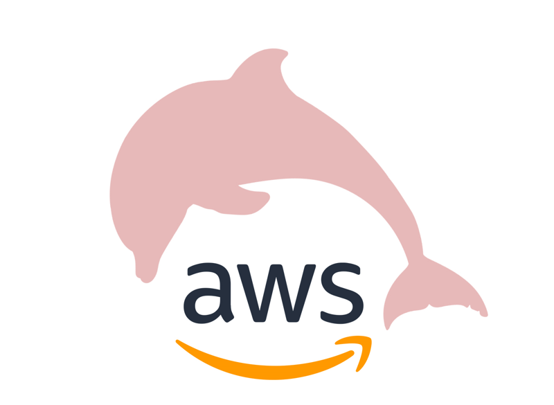 Amazon And Boto AWS Glue The Boto Library Was Named After The By 