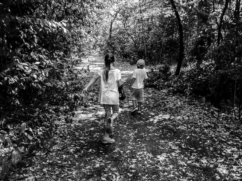 The power of nature in education. Educational concepts to accompany… | by  Vicky Rabensteiner | SciCommTrento | Medium