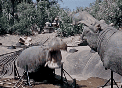 jungle cruise elephant gif