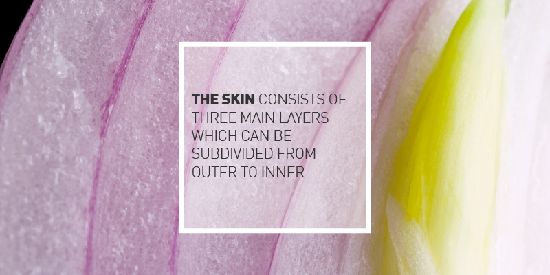 How the Skin Works to Protect Us and How to Protect the Skin