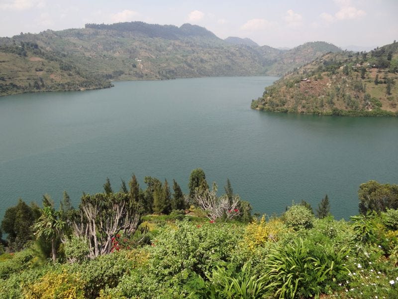 Há lagos que explodem e matam em África, um deles ameaça dois milhões de pessoas | by João Pedro Lobato | Medium