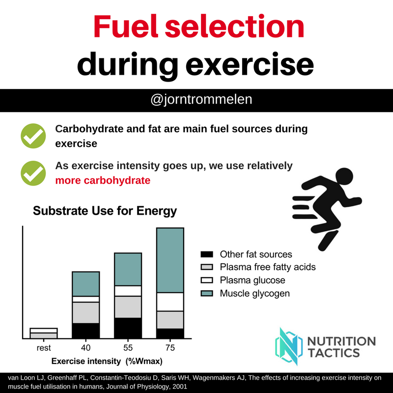 Fuel selection during exercise. Carbohydrate and fat are the main fuel
