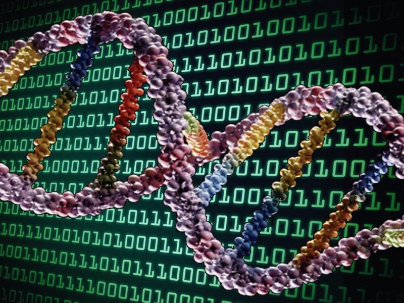 When AI Meets DNA - Tincture
