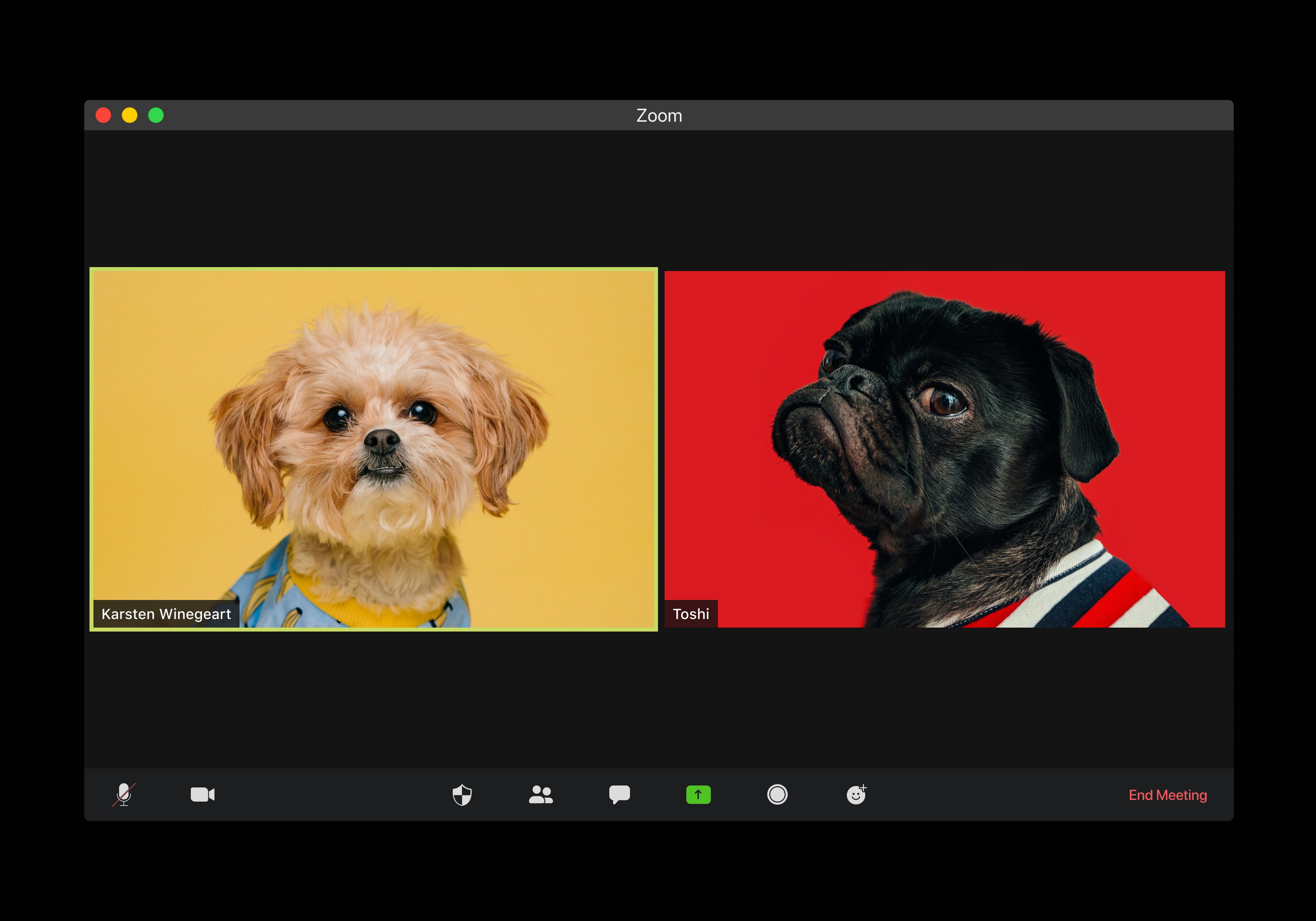 Pug punch mac os update