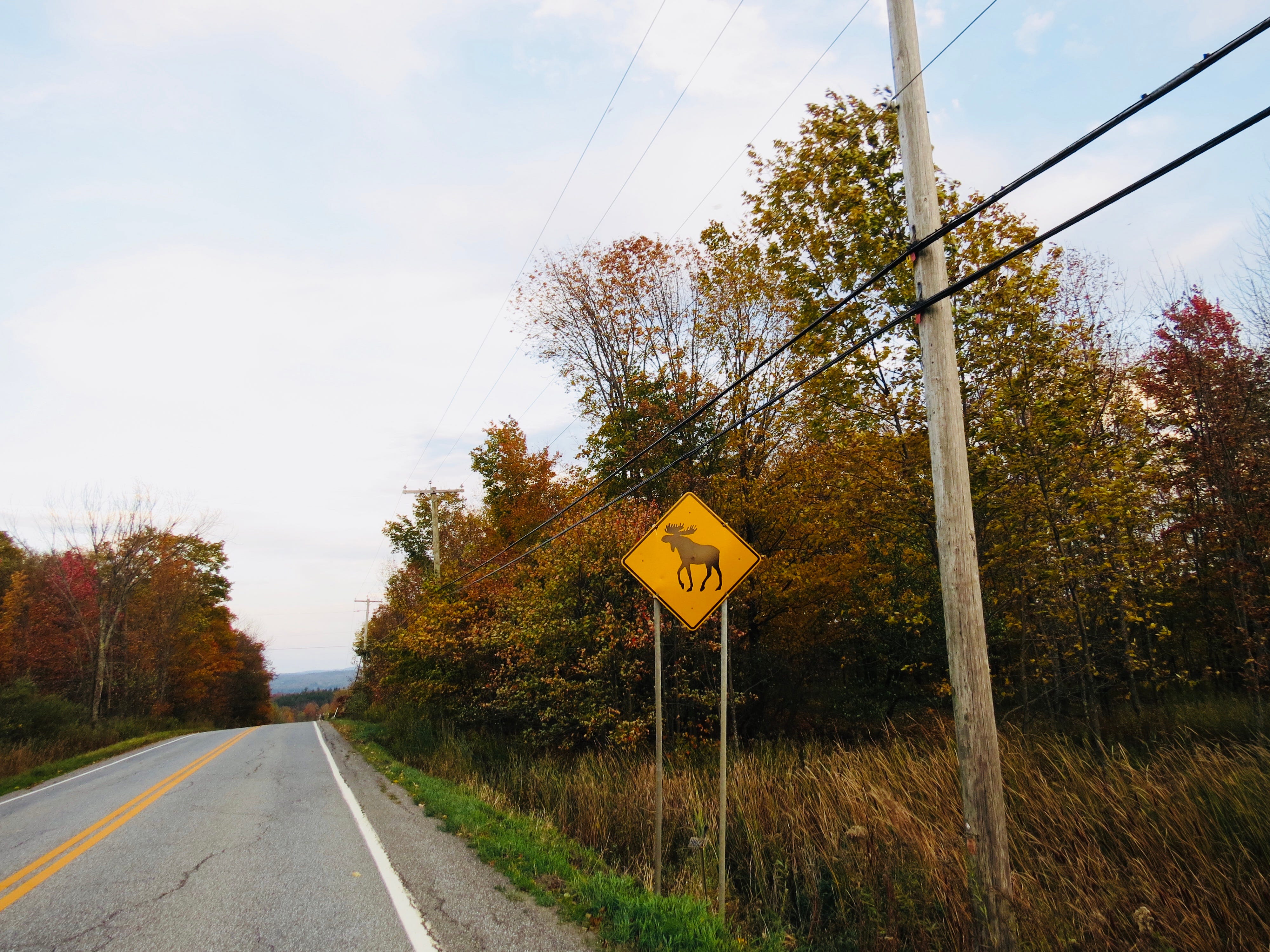 How I got the best addresses for my Quebec Road Trip by Titiana