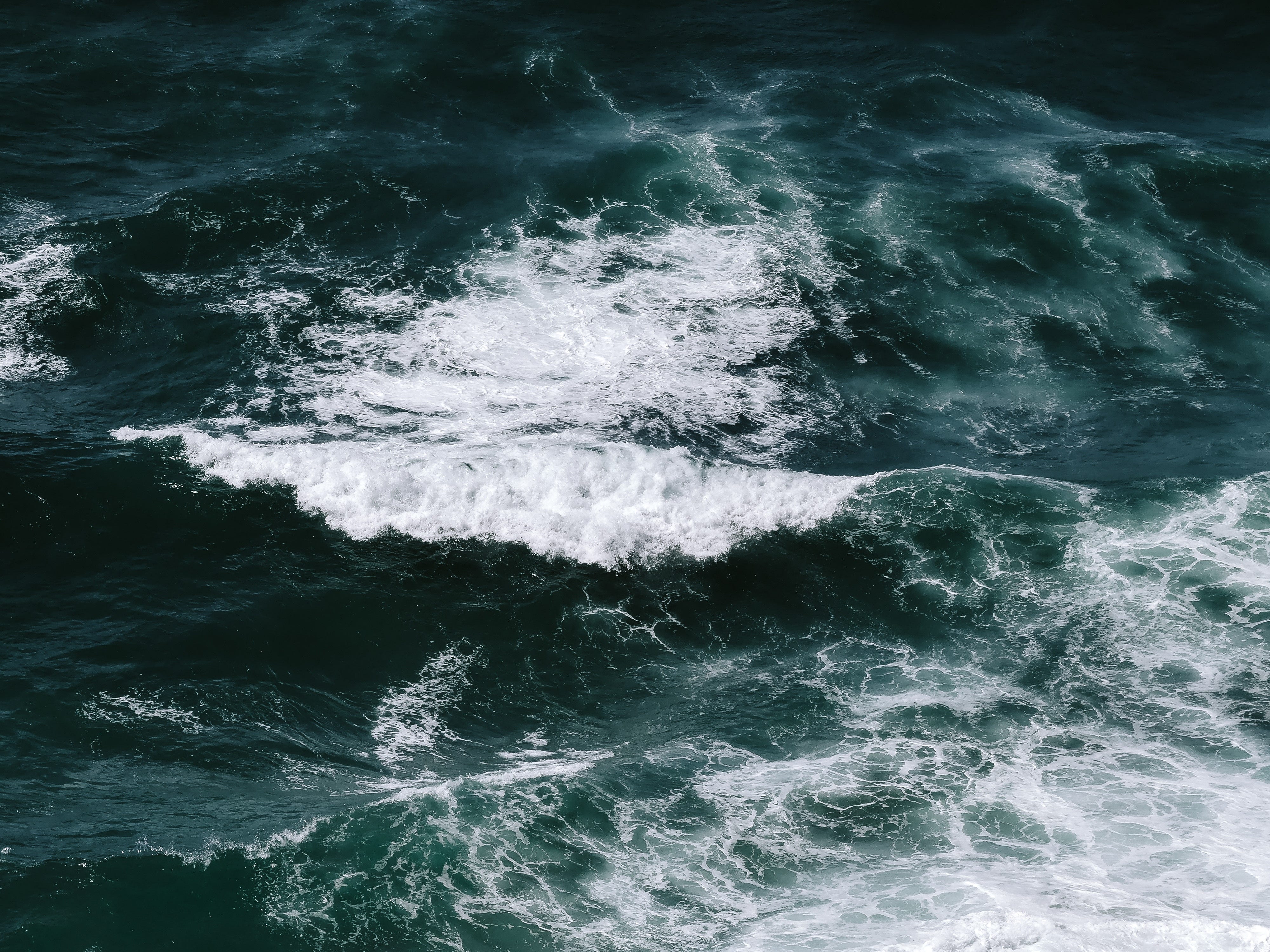 Swimming In The Undertow Anna D. Invernizzi Medium 