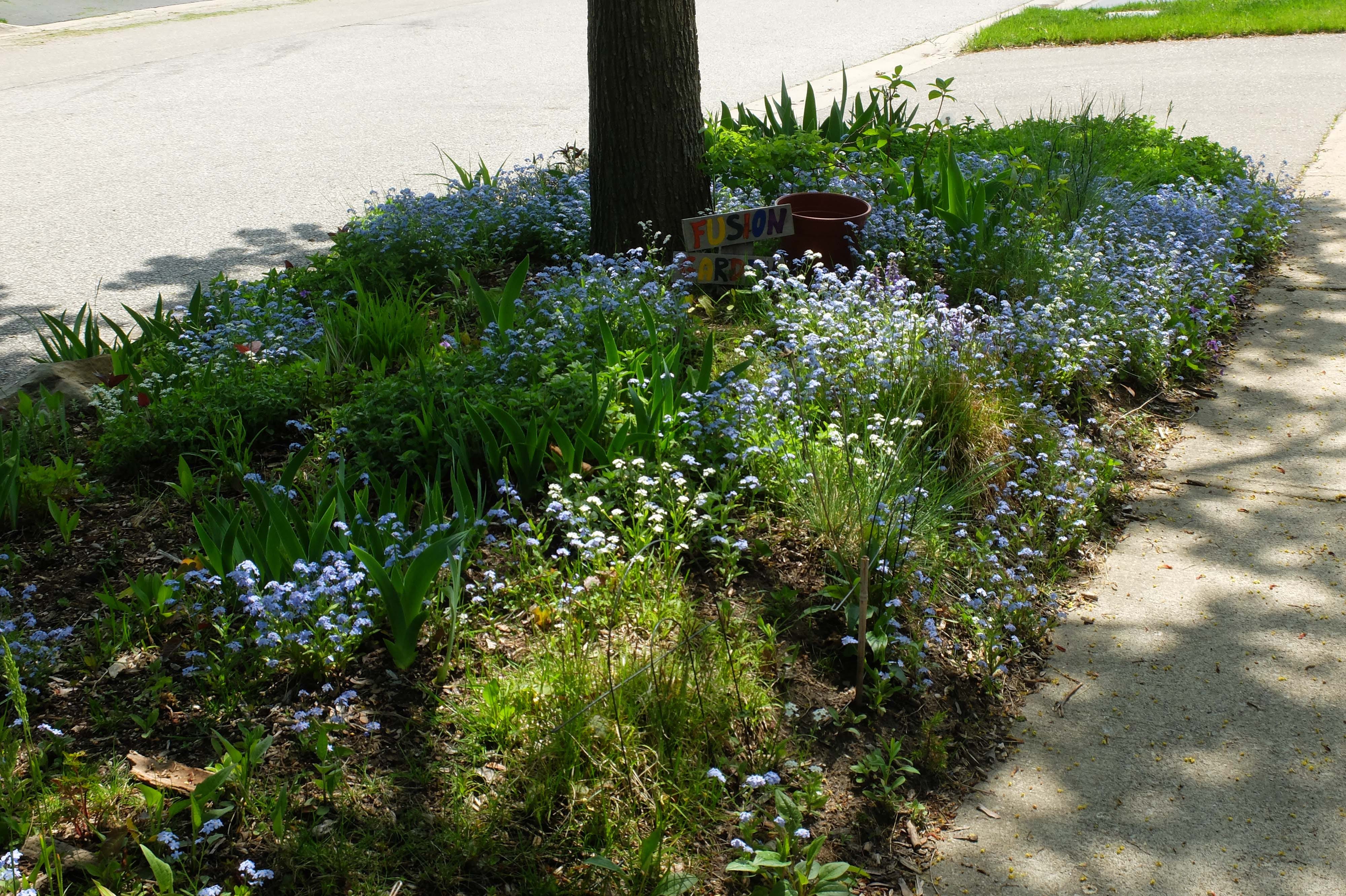 For Spring. dominate the Spring… by Louise Peacock Weeds