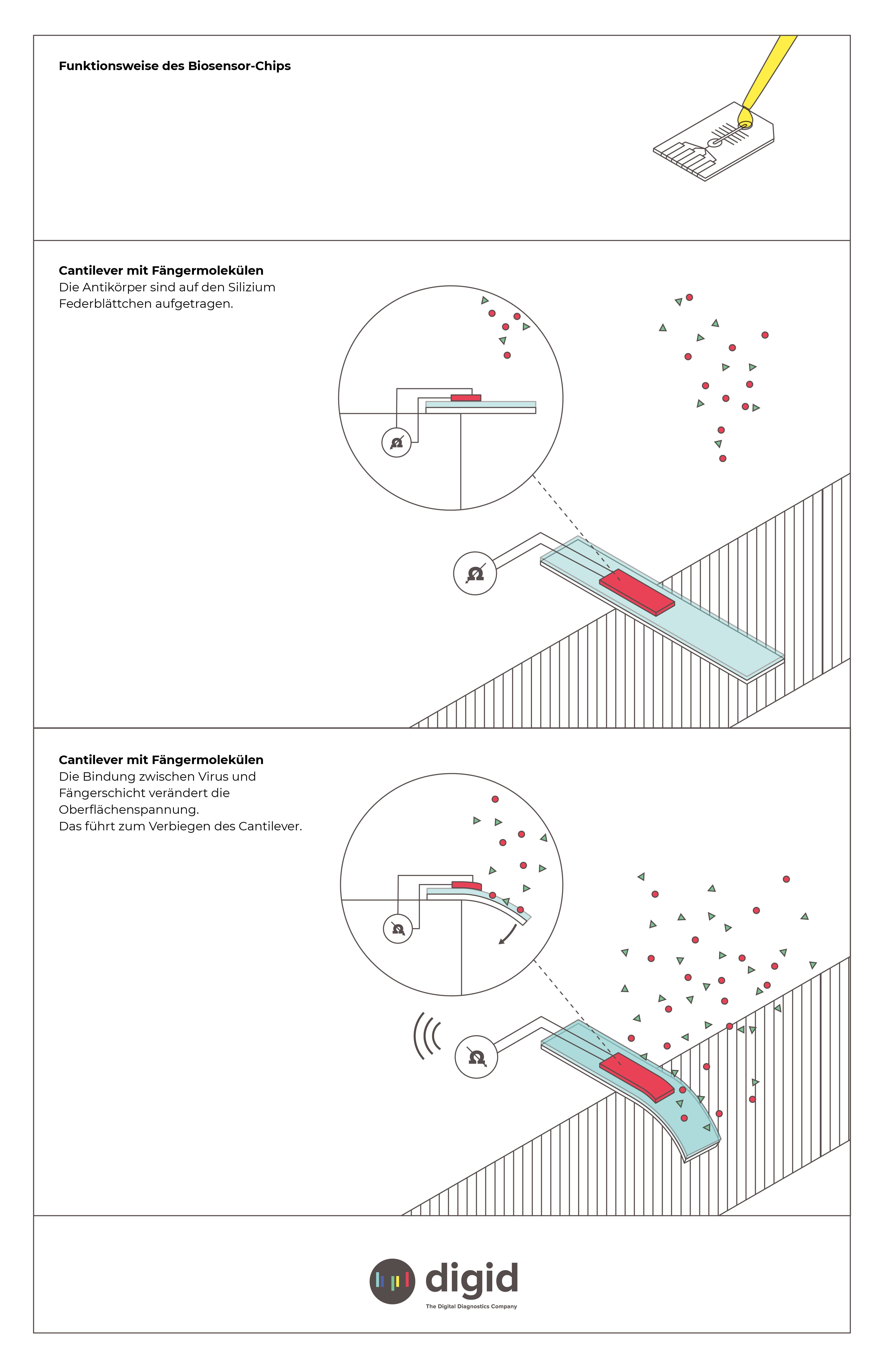 COVID-19: Schnelltest mit Sofort-Ergebnis | Medium