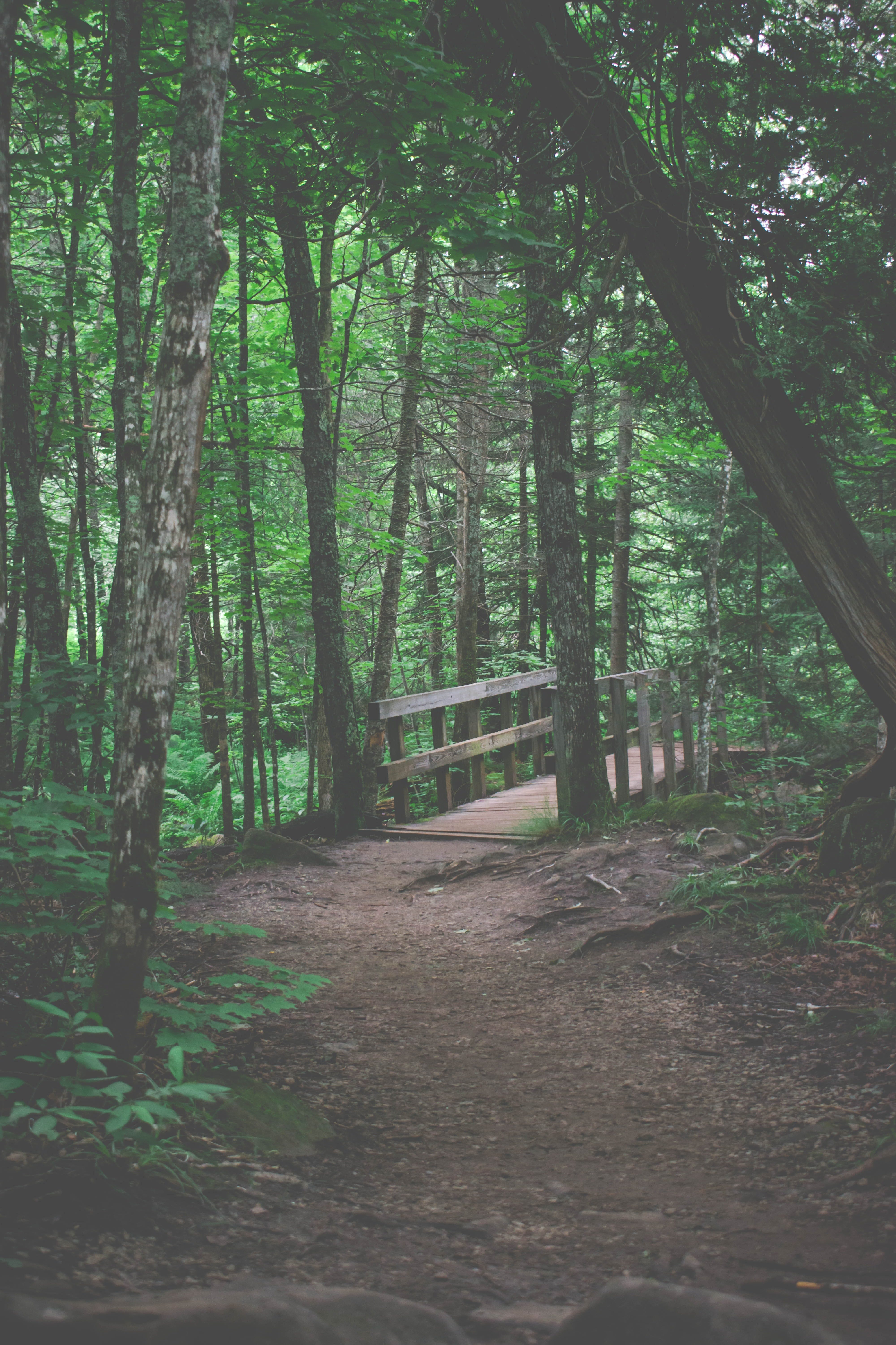 When Love Was Easy She Couldn T Believe It Was True By Louise Foerster Scribe Medium when love was easy she couldn t believe it was true by louise foerster scribe medium