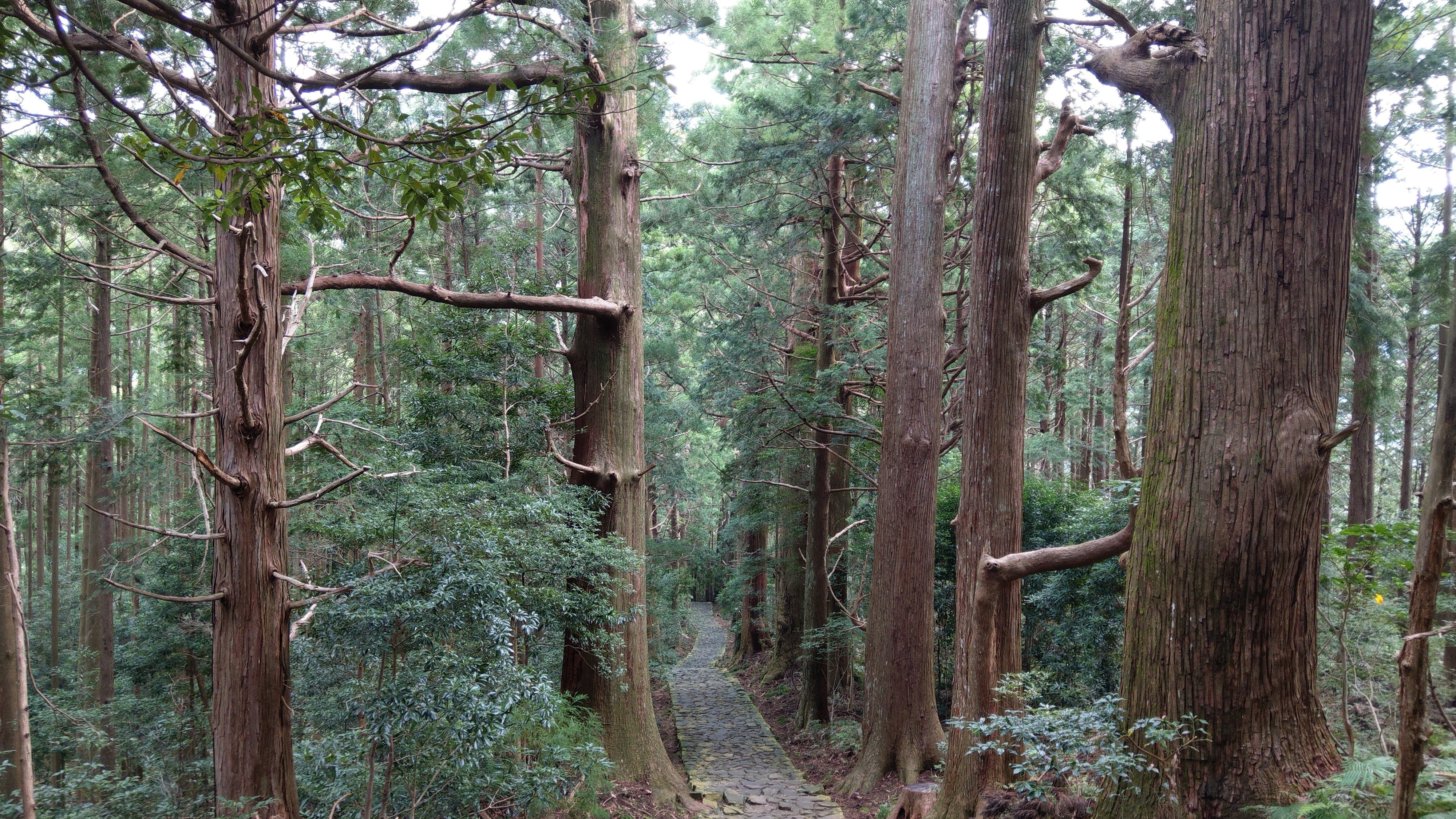 東瀛紀行 紀伊山地靈場及參拜道 下 熊野古道 日本民謠有句 前往伊勢七次 前往熊野三次 伊勢へ七度 熊野へ三度 指的是一生 By 菊紋花見物語 東瀛紀行 紀伊山地靈場及參拜道 下 熊野古道 日本民謠有句 前往伊勢七次 前往熊野三次 伊勢へ七度 熊野へ三度 指的是一生 By 菊紋花見物語