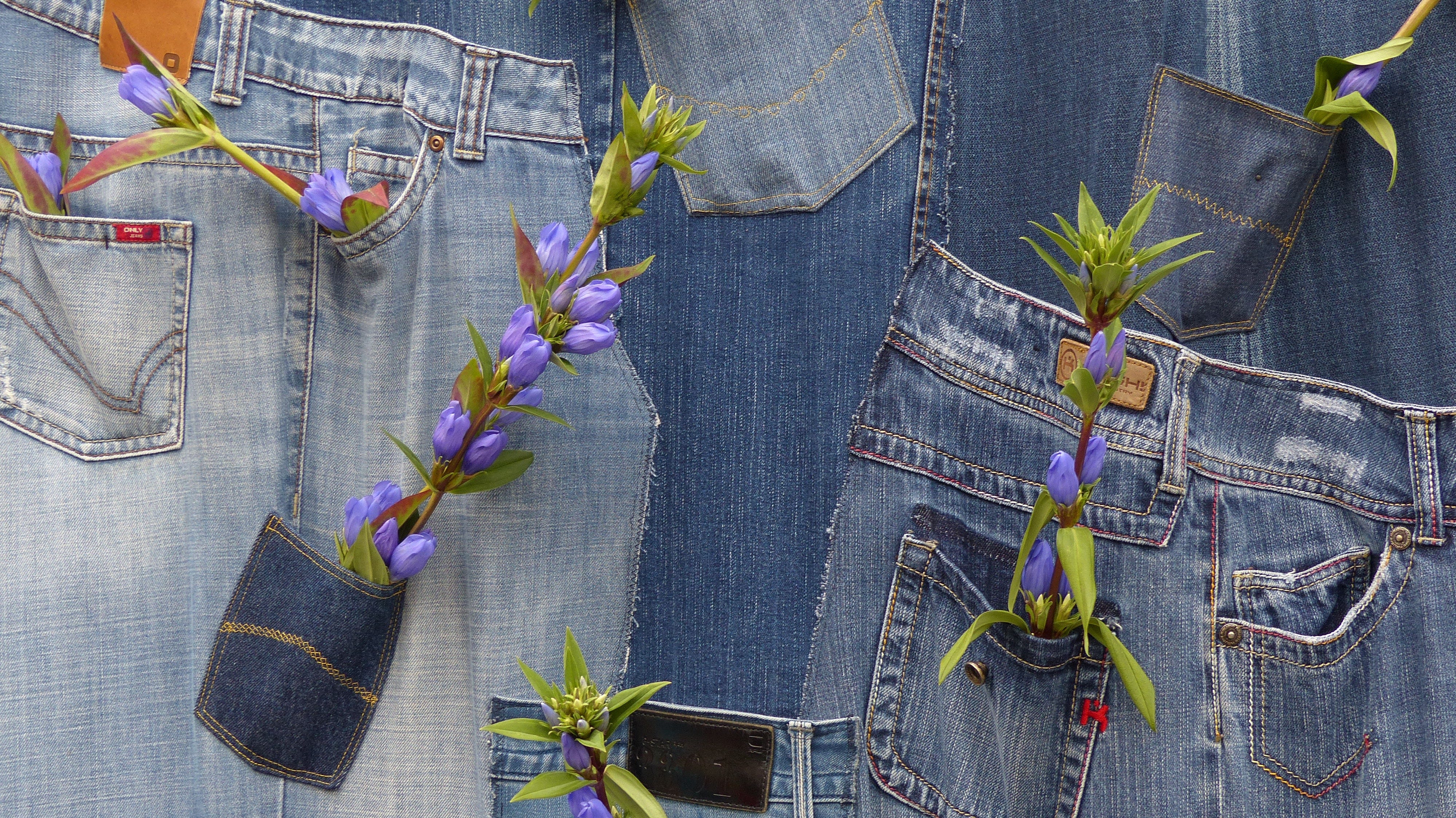 sustainable jeans