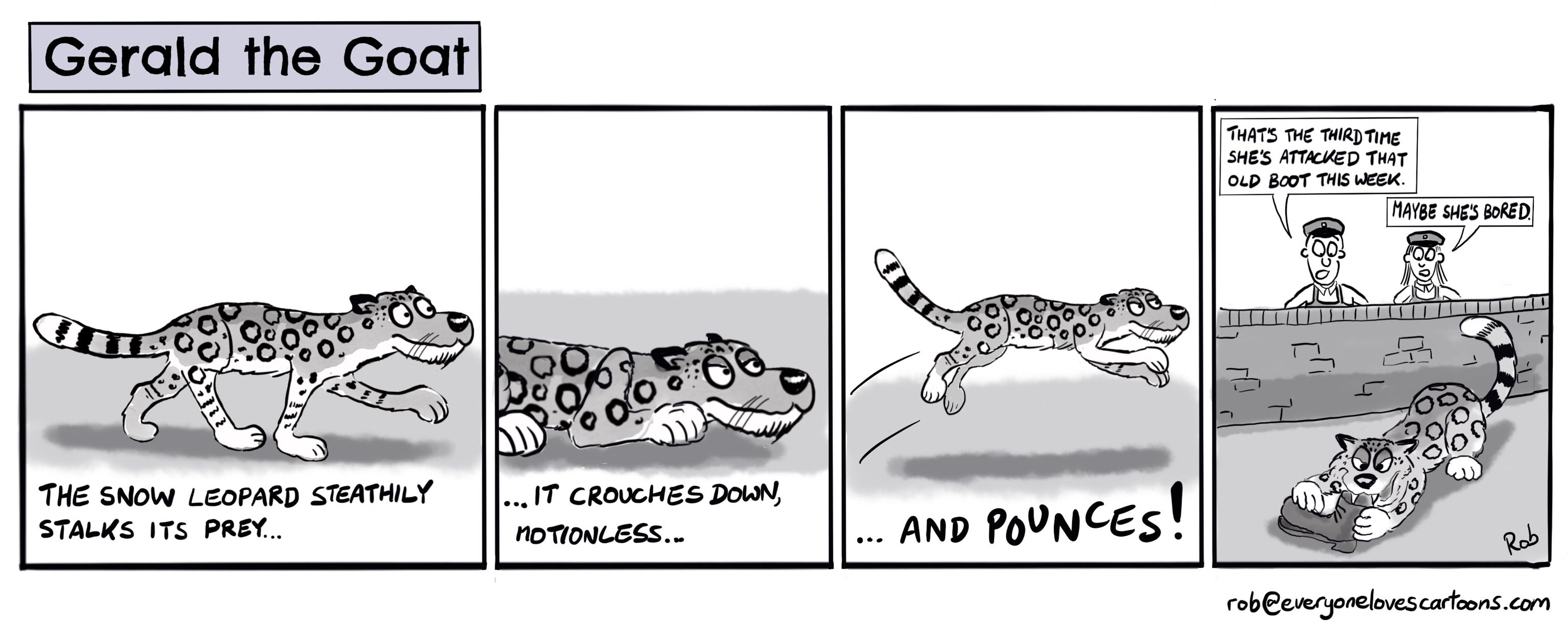 Drawing A Strip Cartoon Enter The Snow Leopard By Rob Middleton Medium